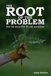 The Root of the Problem (cover)